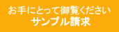 �̥Хå��Υ���ץ�